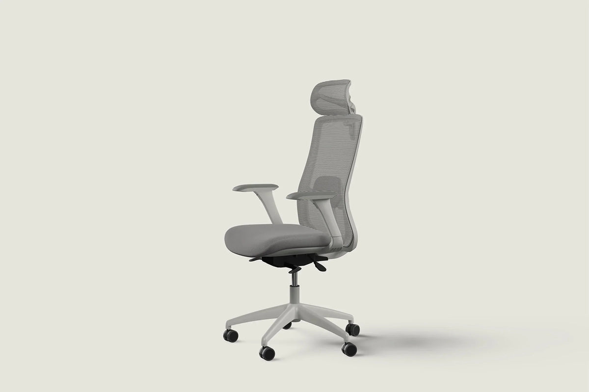 Chaise ergonomique SitOne