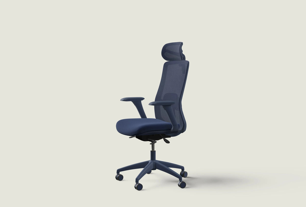 Chaise ergonomique SitOne