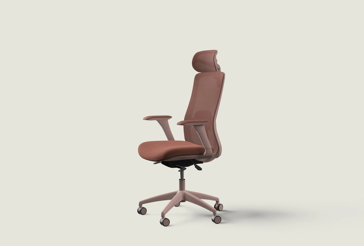 Chaise ergonomique SitOne